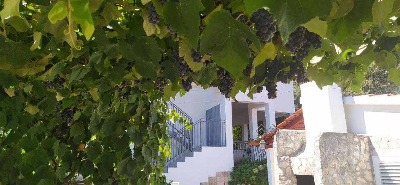 Apartment Lavanda Nova Ražanj エクステリア 写真