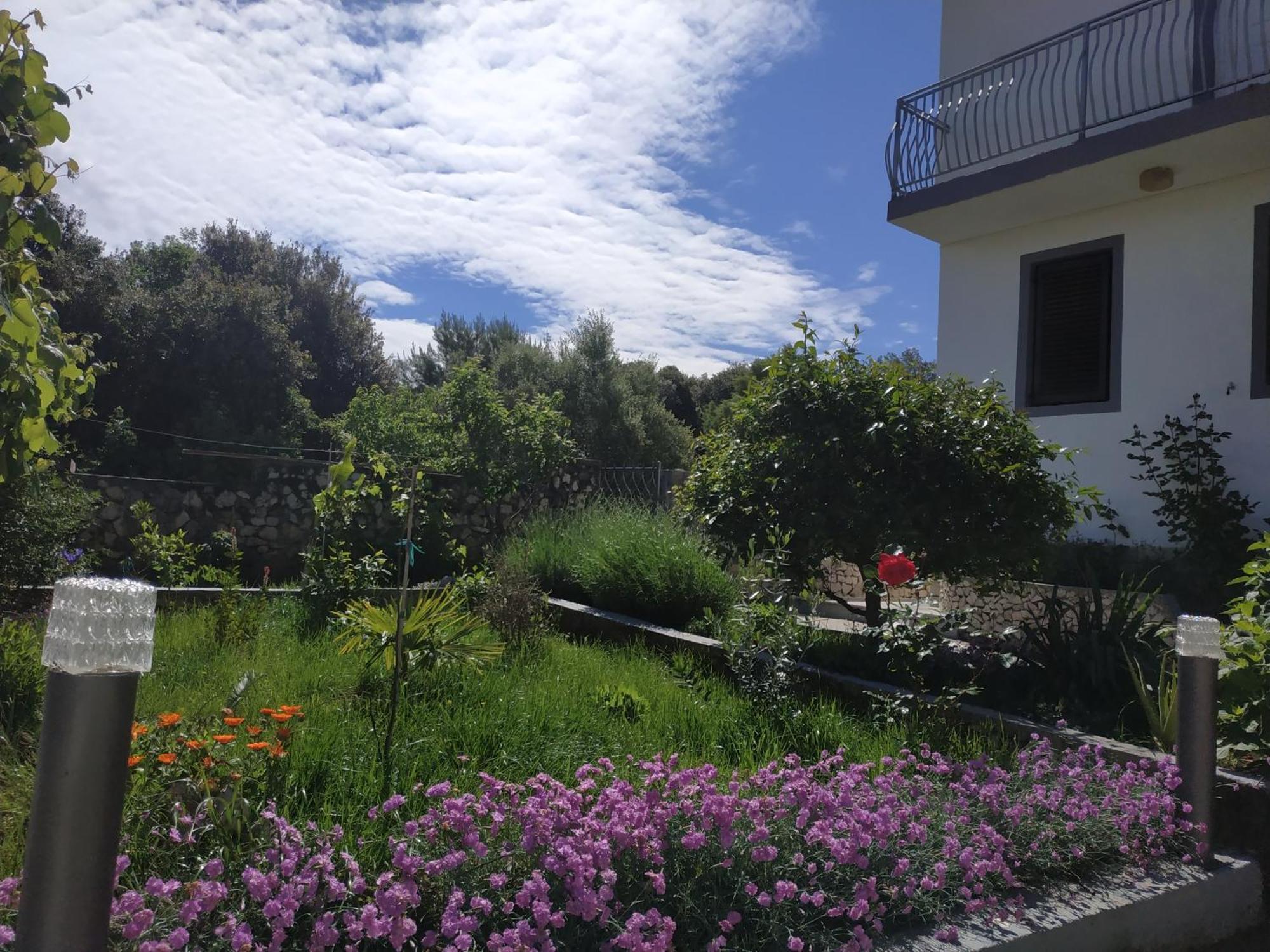 Apartment Lavanda Nova Ražanj エクステリア 写真