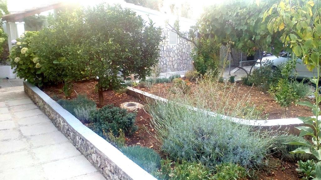 Apartment Lavanda Nova Ražanj エクステリア 写真