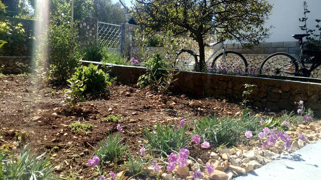 Apartment Lavanda Nova Ražanj エクステリア 写真