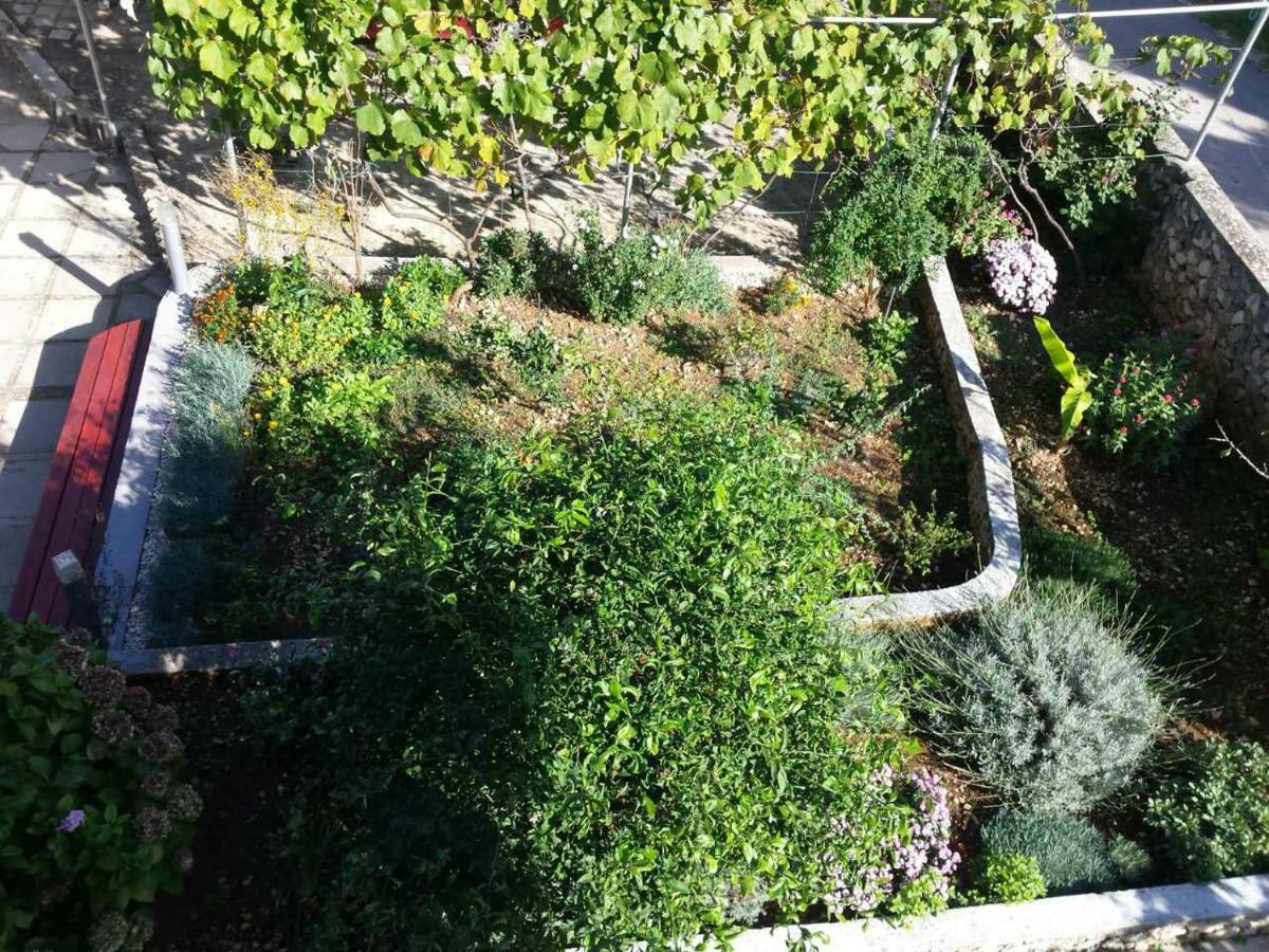Apartment Lavanda Nova Ražanj エクステリア 写真
