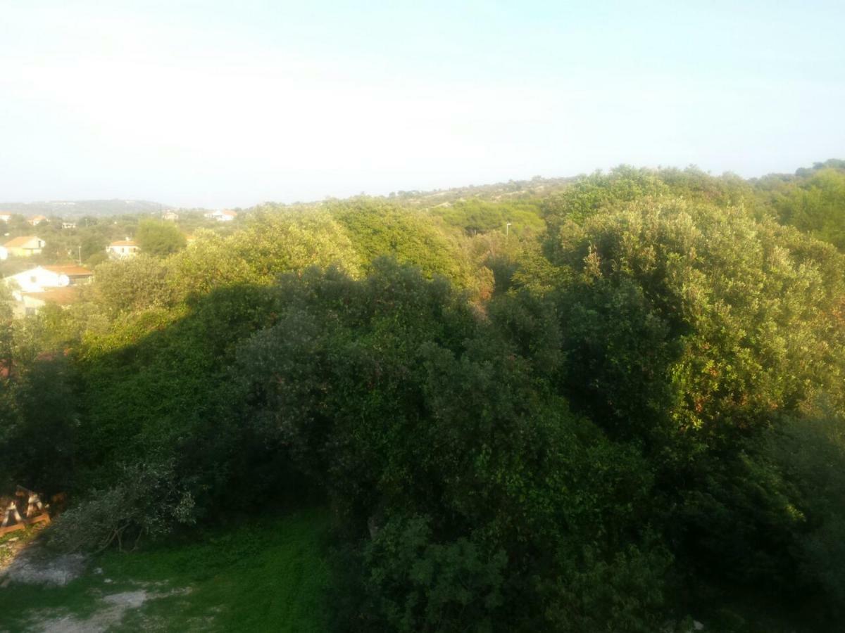 Apartment Lavanda Nova Ražanj エクステリア 写真