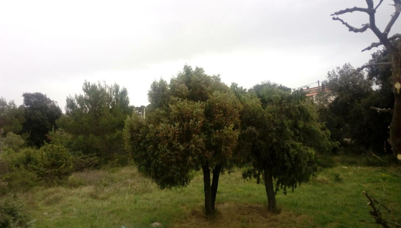 Apartment Lavanda Nova Ražanj エクステリア 写真